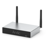 Arylic A30+ 